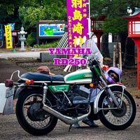 rd250_nrnr