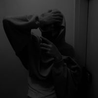 zllerr1