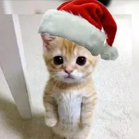 original sound - dyrikk__