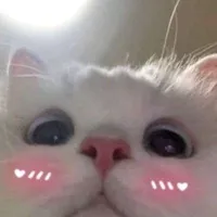 original sound - melodyjoongnie