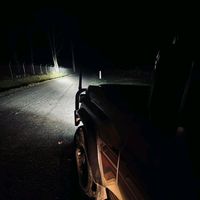 wild_wisdom11