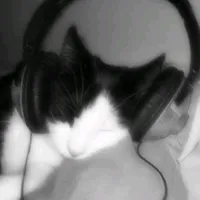 original sound - speed.songsly