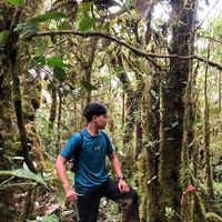 suara asli - iki
