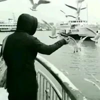 original sound - sahin_bayrak42