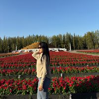 original sound - H🫧