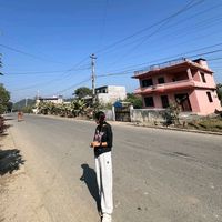 preetitamang459