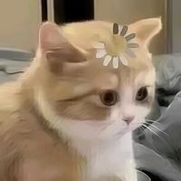 오리지널 사운드 - 이여운