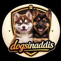 dogsinaddiss