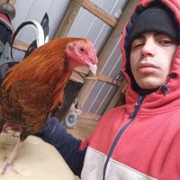 sonido original