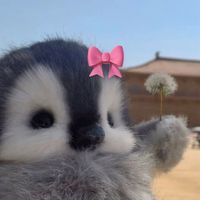smolayeelly1