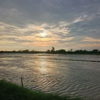suara asli - cah gmonn