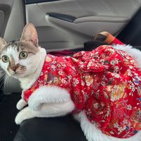 naomi_fashion1