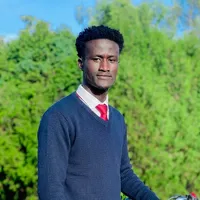 original sound - singer.ararsa