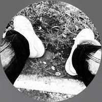 styven.12