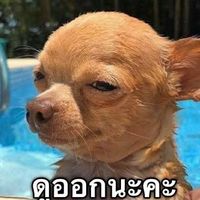 No makeup zion t