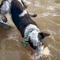 heelermixes.spam