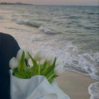 anastasia__073