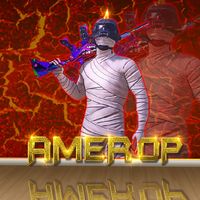 .amerop