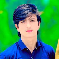 kareemkhan8491