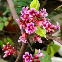 nhạc nền - Thay Đổi và Làm Lại Tất Cả