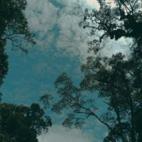 himada_maroa12