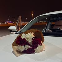 zuzu_05__