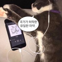 오리지널 사운드 - ᄁ ᅣ