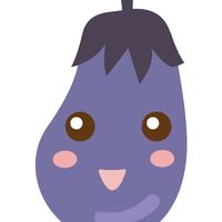 hodenasu2024