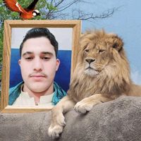 m.yaseen.khan.5