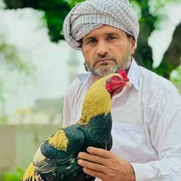 original sound - nasar.iqbal09