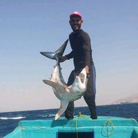 belal_almohtseb