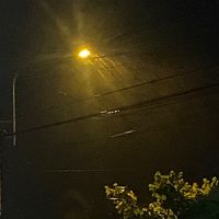 nhạc nền - C O F F E E Chill ☕