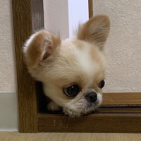 muukun20181223