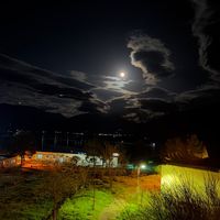 griseld_09