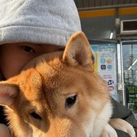 yoour_chingu
