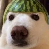 el_weon2.1