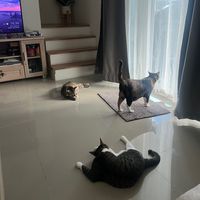 kwangjoaa