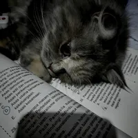 original sound - nadoda467