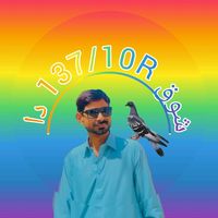 muhammadtanver137