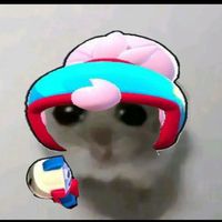vi0let_bs