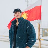 الصوت الأصلي