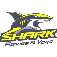 nhạc nền - Shark Fitness Yoga 🦈