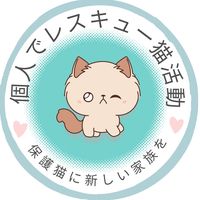 original sound - 個人ねこレスキュー