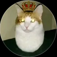 original sound - baoangaming123