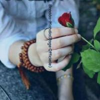 amna1984a