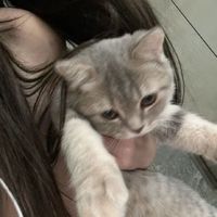 llxhqv
