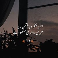 basharwrites7