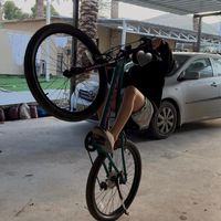 eden.zamir