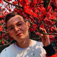 dima.newyork