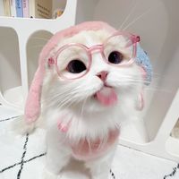 wd__26
